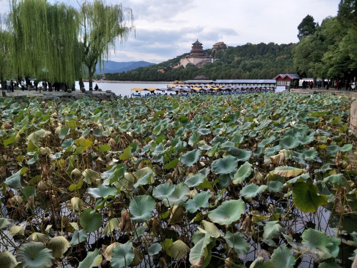 Summer Palace1