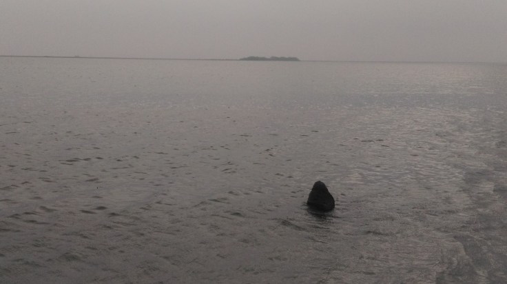 One of the Ram Setu stones toward the shore Dhanushkodi