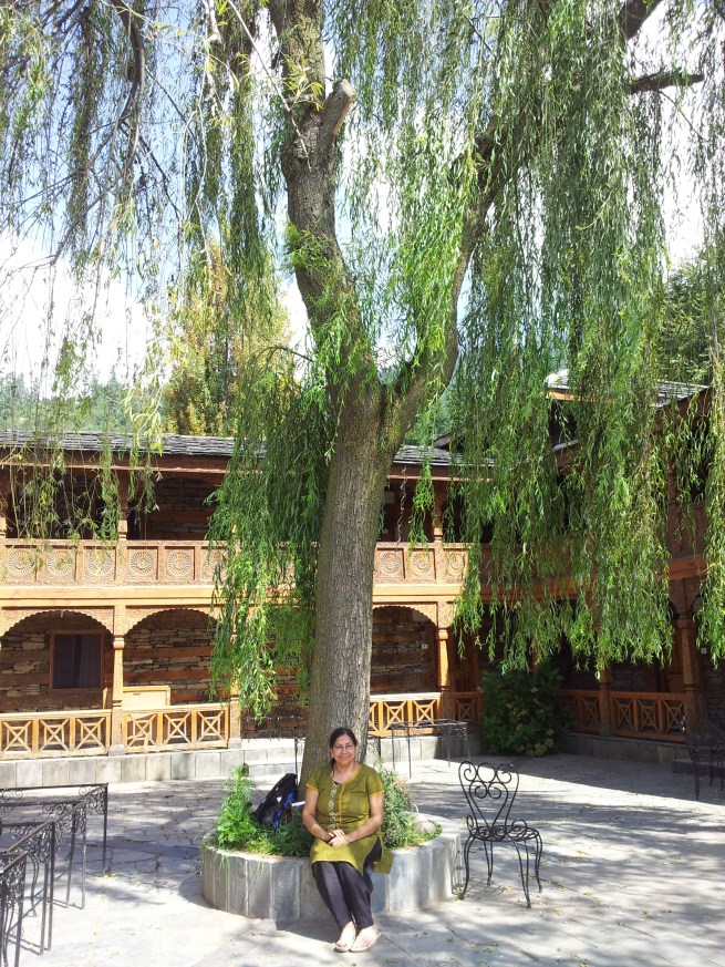 A weeping willow graced the yard