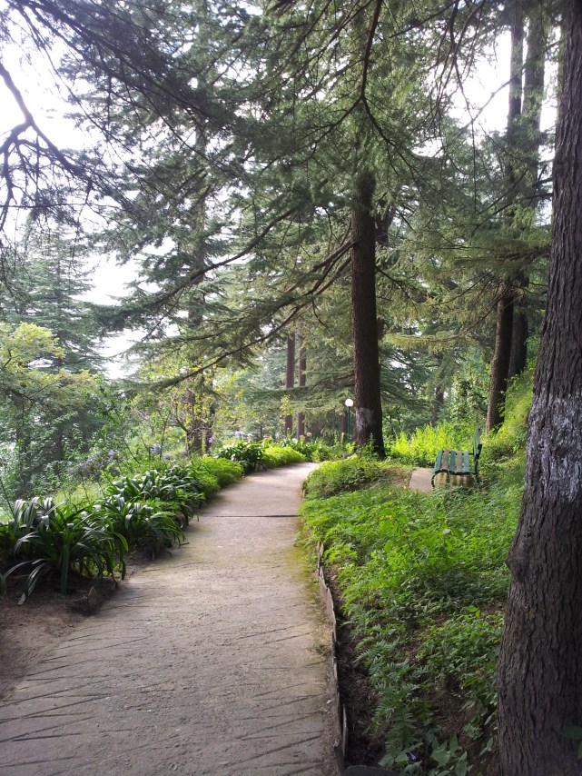 Uphill path to the replica museum was very eye-pleasing