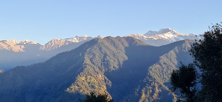 Back to its gorgeous white